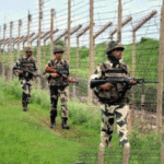 BSF tries to stop cow smugglers, 2 smugglers killed in firing
