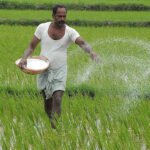 'One Nation One Fertilizer Scheme' in the country from October 2, this is how farmers will get benefits