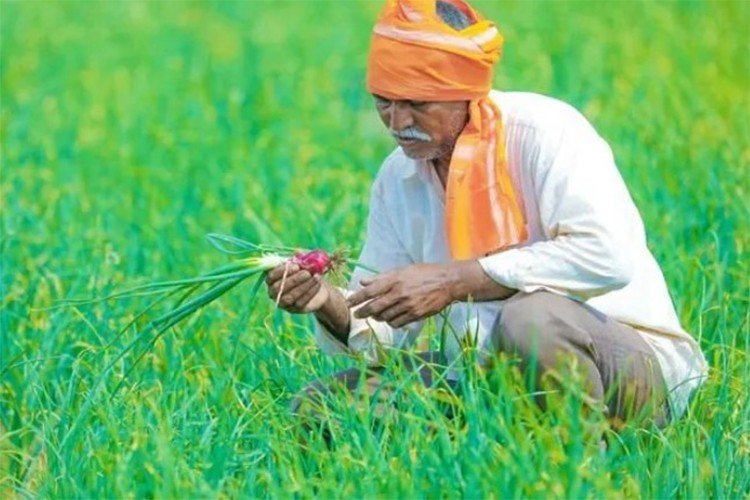 One Nation One Fertilizer Scheme in the country from October 2, this is how farmers will get benefits