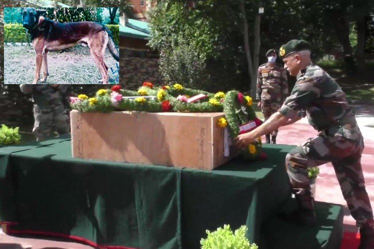 On seeing the 'Axel' of the army, terrorists used to run by pressing their tail, became martyr