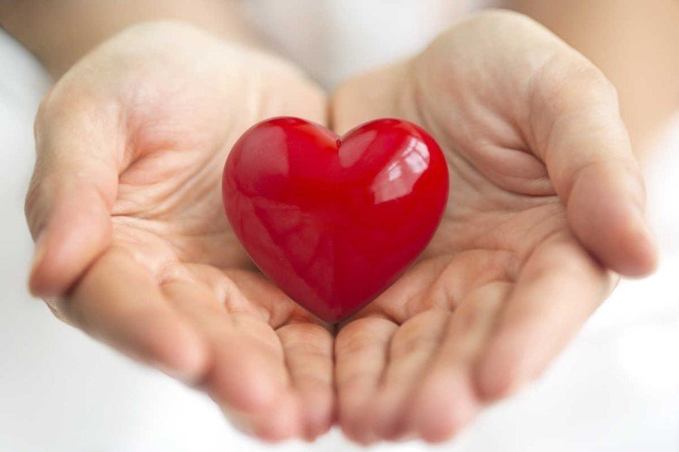 World Heart Day: Hearts are very fragile﻿
