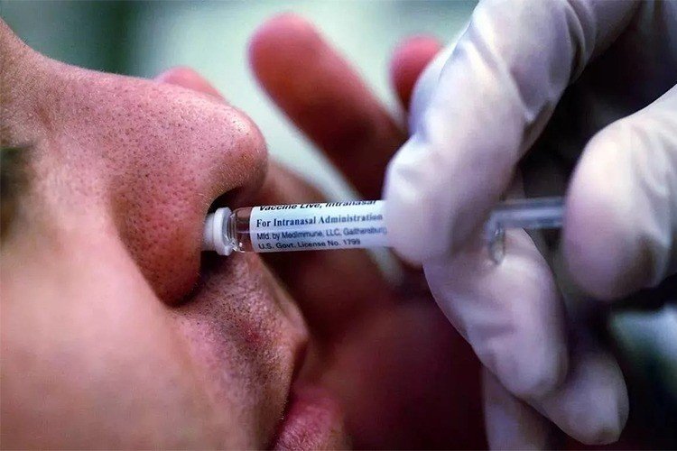 Nasal Corona Vaccine Approve by Bharat Biotec﻿