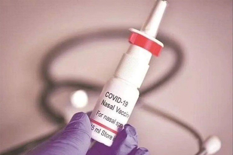 Nasal Corona Vaccine Approve by Bharat Biotec﻿
