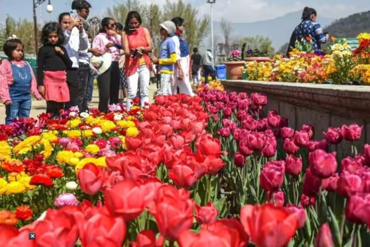 जनता के लिए खुला एशिया का सबसे बड़ा Tulip गार्डन